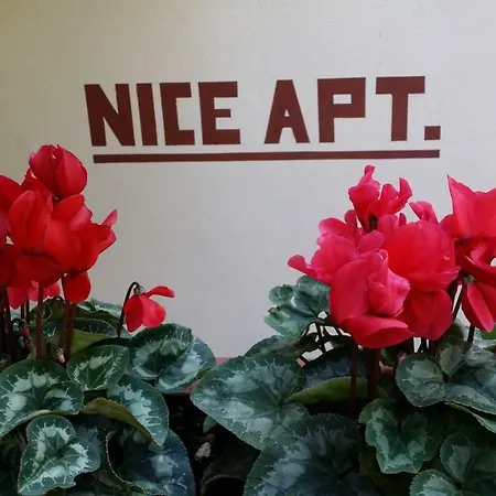 Nice Apt. Appartement *
